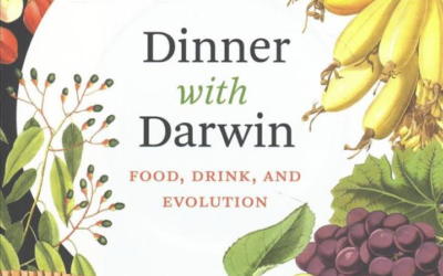 • Food and the evolution of life